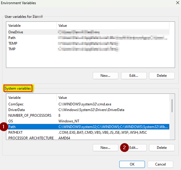 Set Environment Variables